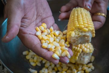 Cara mengolah jagung agar nutrisinya terjaga dan memenuhi gizi lengkap keluarga sehat.