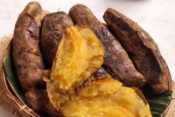 Manfaat ubi madu Cilembu