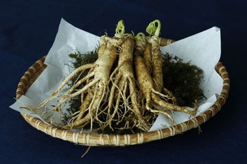 Cara menggunakan ginseng untuk menurunkan gula darah tinggi