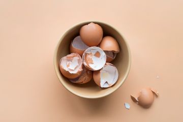 Masih Jarang yang Tahu, 3 Manfaat Cangkang Telur Bagi Kesehatan