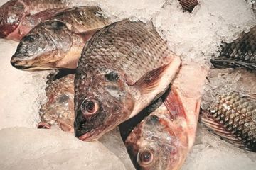 Cara memasak ikan yang tepat untuk ibu melahirkan