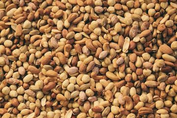 Gurih dan Dianggap Baik, Apakah Sehat Mengonsumsi Kacang Goreng?