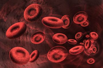 Hari Hemofilia Sedunia, Ini 5 Komplikasi Serius yang Perlu Diwaspadai