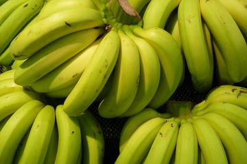 Tips Menurunkan Gula Darah dengan Daun Pisang, Kontrol Diabetes Lebih Efektif