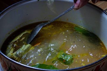 Manfaat Papeda Bagi Kesehatan, Makanan Tradisional Gizi Lengkap Keluarga Sehat