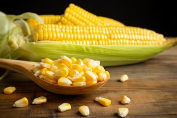 Kandungan nutrisi dan indeks glikemik yang rendah, membuat jagung efektif turunkan gula darah.
