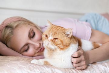 Bahaya Tidur dengan Kucing untuk Kesehatan, Salah Satunya Bisa Memicu Reaksi Alergi