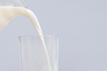 Kenali Perbedaan Laktosa dan Sukrosa dalam Susu yang Jadi Perdebatan