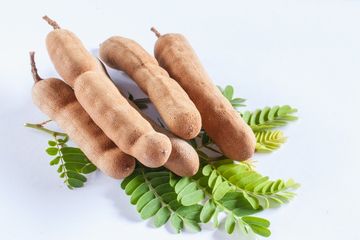 Manfaat Konsumsi Asam Jawa Secara Rutin, Ternyata Ampuh Cegah Osteoporosis