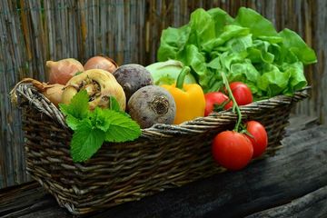 Makanan gizi lengkap keluarga sehat diperlukan untuk pemulihan ibu setelah melahirkan