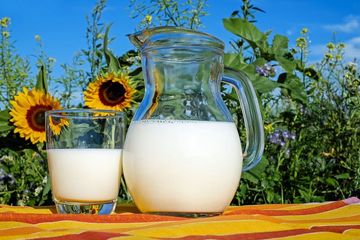 Jenis susu yang boleh untuk penderita asam lambung