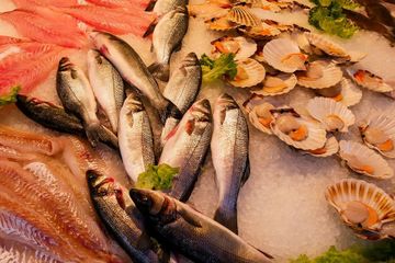Awas, 5 Makanan Laut yang Bergizi Ini Ternyata juga Mengandung Kolesterol Tinggi