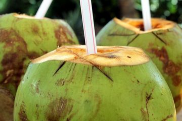 Manfaat Air Kelapa Hijau Bakar, Lebih Bagus Mana Dengan Air Kelapa Murni?