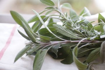 Resep herbal menyembuhkan wasir ala dr. Zaidul Akbar