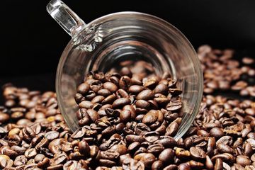 Apakah minum kopi pahit di pagi hari bagus untuk kesehatan? 