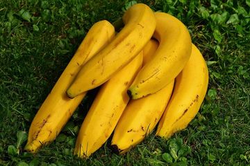 Apakah Gula Darah Tinggi Boleh Makan Pisang? Begini Caranya Agar Aman
