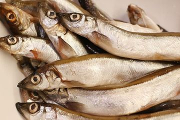 Rasanya Enak Tapi Jangan Kebanyakan, 5 Jenis Ikan Ini Mengandung Kolesterol Jahat