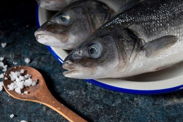 Gizi Lengkap Keluarga Sehat di Dalam Ikan Bisa Mencegah Stunting, Ini 5 Rekomendasinya