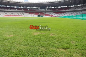 Kondisi rumput Stadion Utama Gelora Bung Karno, Senayan, Jakarta, Jumat (8/11/2024) siang.