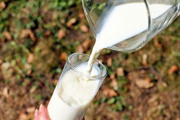 Mengatasi diare setelah minum susu