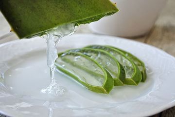 Cara membuat obat asam lambung dari lidah buaya