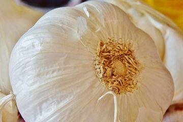 Cara menggunakan bawang putih untuk pilek