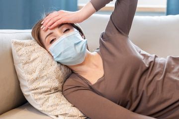 Cara Menggunakan Daun Kelor untuk Turunkan Demam