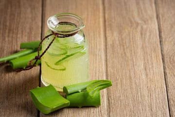 Cara menggunakan lidah buaya untuk luka bakar