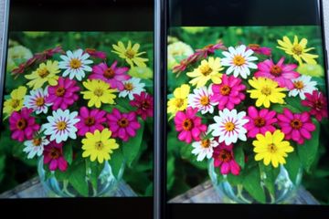 Apa Sih Perbedaan Display LCD dan 
