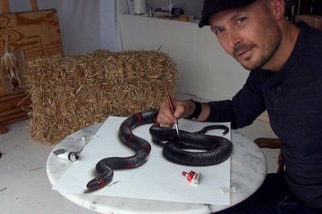 Berita Stefan Pabst Dan Ular Di Atas Kertasnya Terbaru Hari Ini Kamu Terkecoh Gambar 3d Karya Seniman Stefan Pabst Ini Nggak Cobain Deh