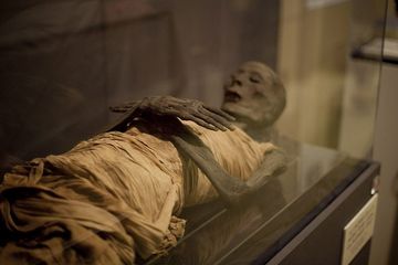 7 Fakta Mengerikan tentang Mumi dan Mumifikasi yang Terkenal dari ...