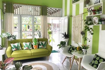Rumah Hijau Nan Segar Ini Unik Banget Yuk Kita Intip Idea