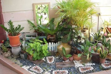 Lengkapi Rumah Dengan Taman Hias Sederhana Semua Halaman