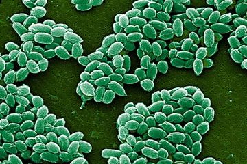 61 Hantu Udara HD Terbaik