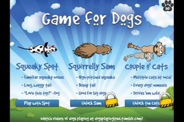 Kini Anjing Dan Kucing Pun Bisa Bermain Game Di Smartphone Dan