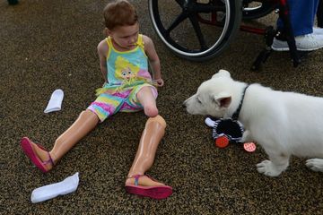 Balita Lahir Tanpa Kaki Mendapatkan Seekor Anak Anjing Tanpa Cakar
