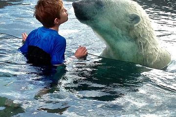 Menggemaskan, Anak Kecil Ini Mencoba Mencium Beruang Kutub di Balik Akuarium - Intisari