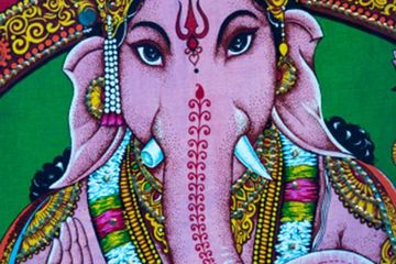 Unduh 101+ Gambar Gajah India Paling Bagus Gratis