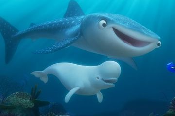Mari Mengenal 4 Hewan Laut Ini Di Film Finding Dory 2