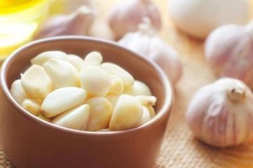 Khasiat bawang putih untuk kesehatan.