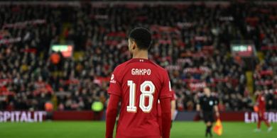 Brighton Vs Liverpool - Ambisi Cody Gakpo Buka Keran Gol Bersama The Reds