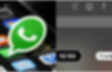 WhatsApp Untuk IPhone Tawarkan Stiker Waktu Dan Lokasi, Makin Seru!