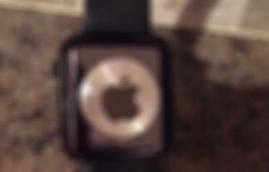 Apple best sale watch palsu