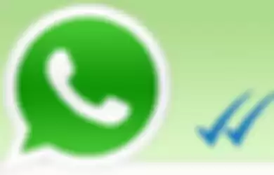 Tips Membaca Pesan WhatsApp tanpa Centang Biru
