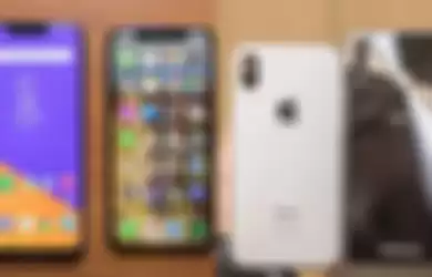 Asus Zenfone 5 vs iPhone X