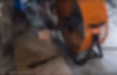 Cuma Modal Kipas Angin dan Alkohol, Ini Cara Ampuh Basmi 4.000 Nyamuk dalam Semalam Ini