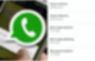 Cek pesan WhatsApp terkirim