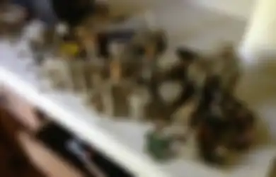 Jangan Khawatir Jika Lebaran Nanti Rumah Anda Kosong, Cukup Letakkan Koin di Kulkas, Akan Ada Hal Ajaib yang Akan Terjadi