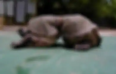 Foto-foto Ini Menunjukan bahwa Sampah Plastik Merupakan Ancaman Mematikan Bagi Makhuk Hidup
