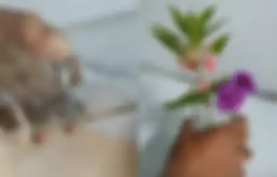 Kurang dari 5 Menit, Berikut Cara Mudah Memotong Botol Kaca untuk Membuat Pot Bunga